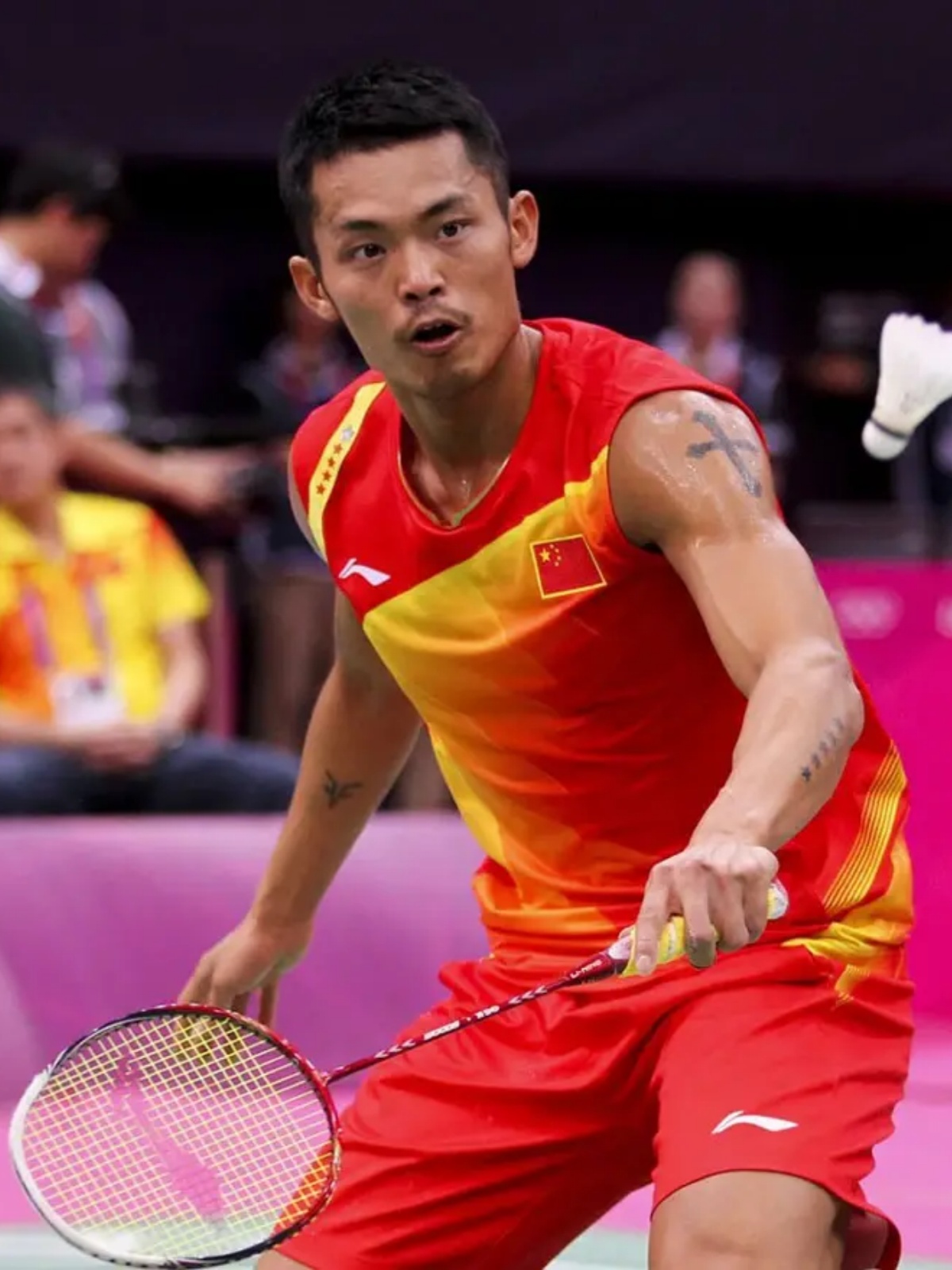 将可能成为 将可能成为